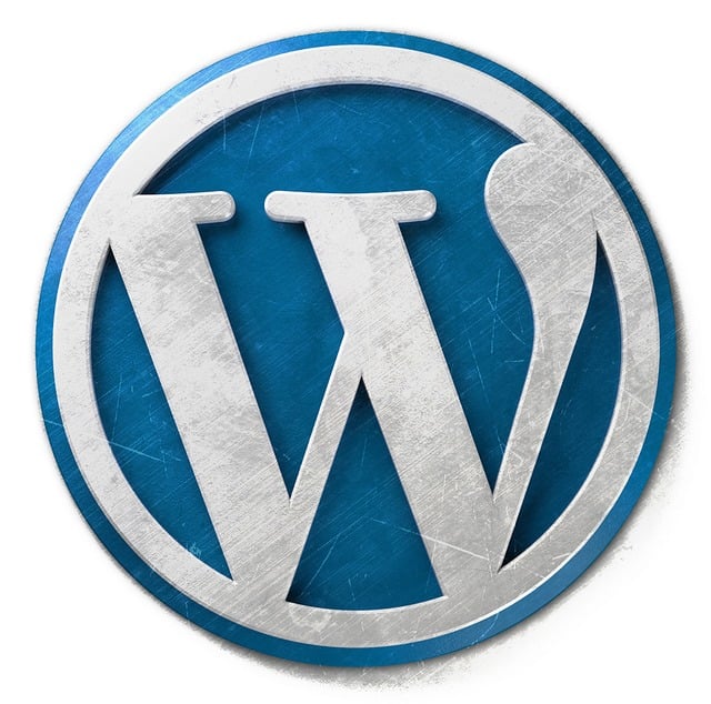 software-company-manchar-pune-Wordpress-Development