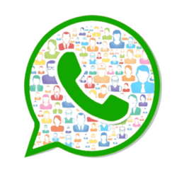 software-company-manchar-pune-Digital Marketing - Bulk Whatsapp